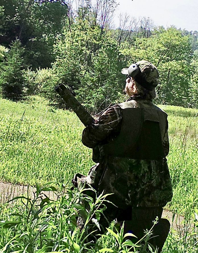 M2E119L225-226R392B382