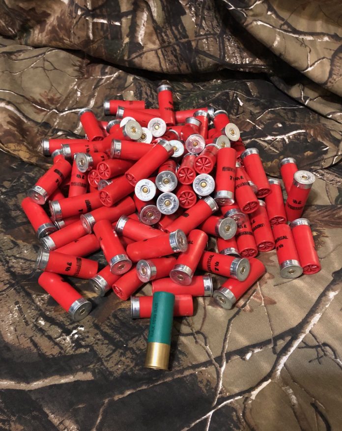 58053597-8CF2-4056-AF7B-634482EFCBC8