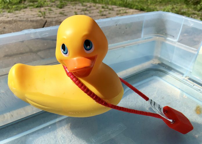 9DE34290-004F-4102-8910-D04FFA7422A1