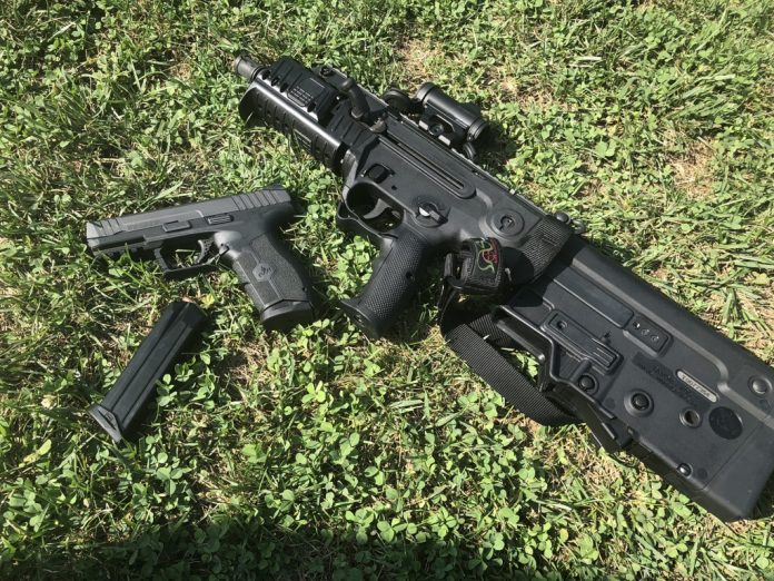 ptbT8CV9TDu+4PxfU6Pk4Q_thumb_4c8