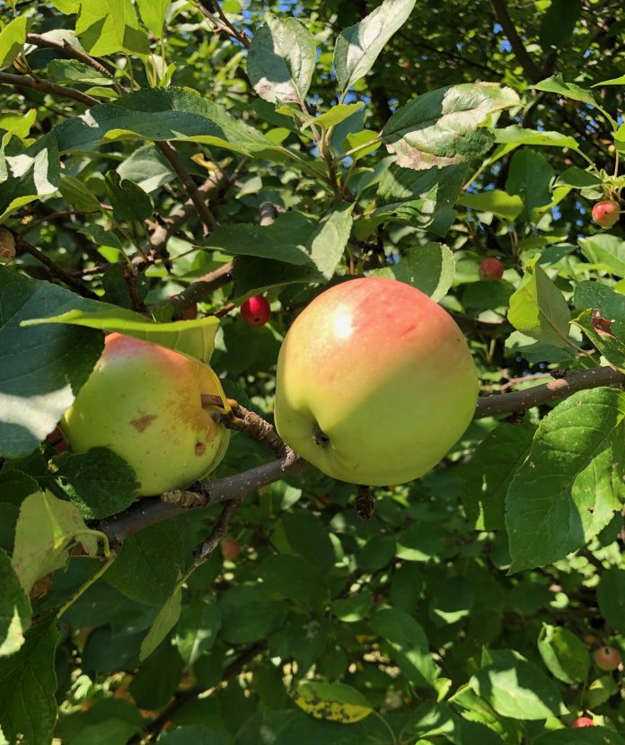 A712D40F-4DF9-4EFE-8F11-DD318EEF1E28