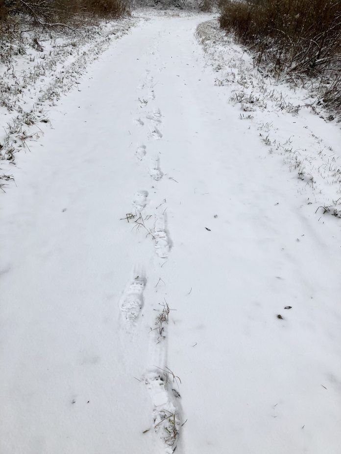 B4C8C8AB-85BB-4486-9A46-D01013826715