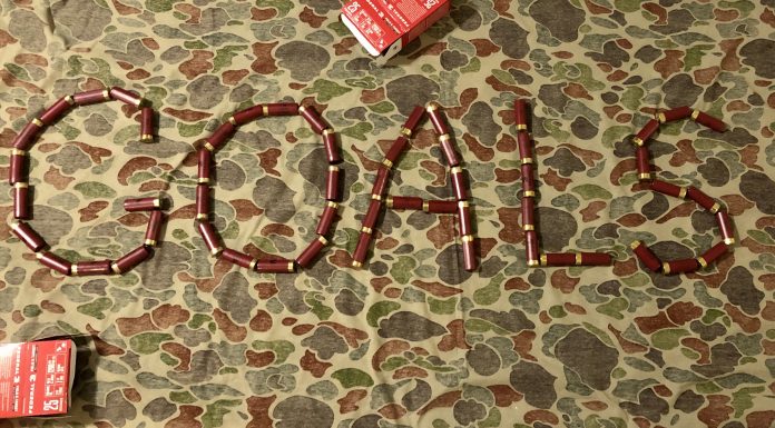 E0487FAF-B8CD-4D66-90C0-A7CFC0C2A2E9