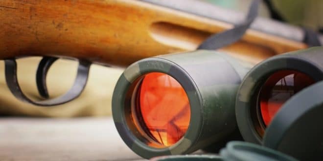 rsz_binoculars_shotgun-660x330