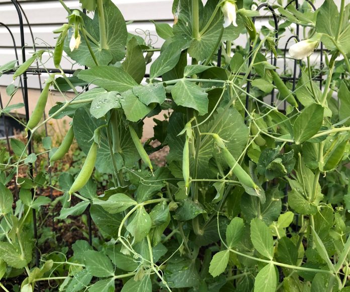 5C46972C-2812-46AF-BF06-815FD243E129