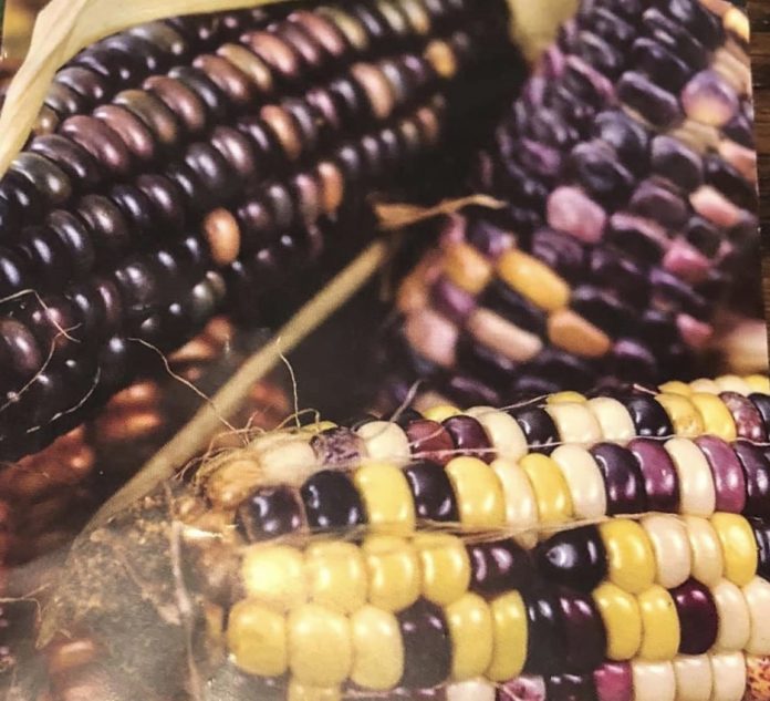 A6AC97B6-314A-4FCC-A48D-F6C9CAA78217