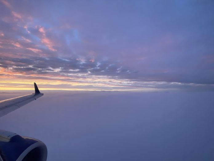 wings north flying north