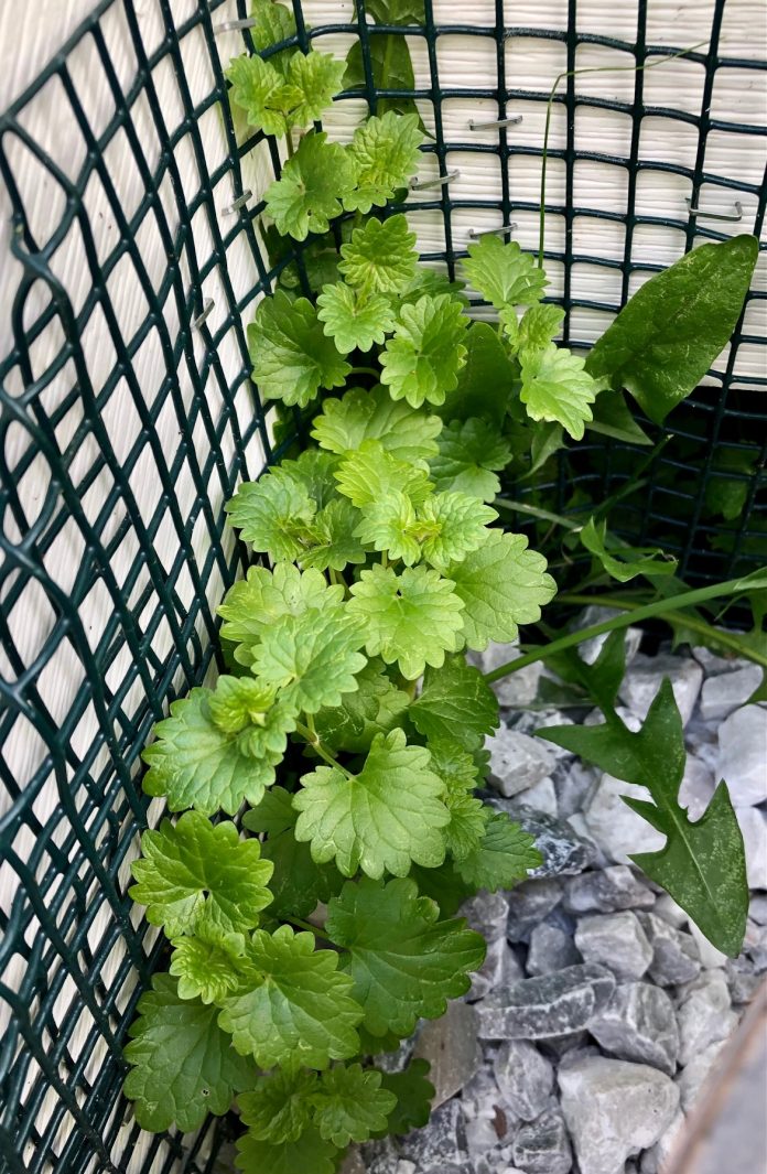 509625DC-790A-4804-A335-0C16916E9207