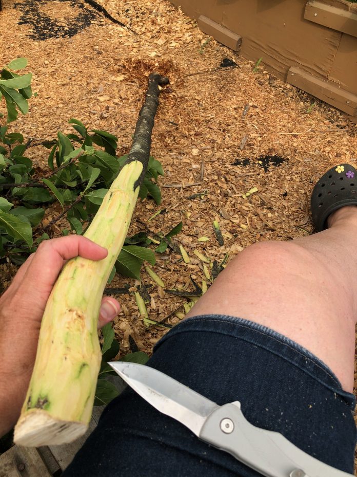 F445E8A6-C91C-44FD-AB0C-0D3CE4F1CF36