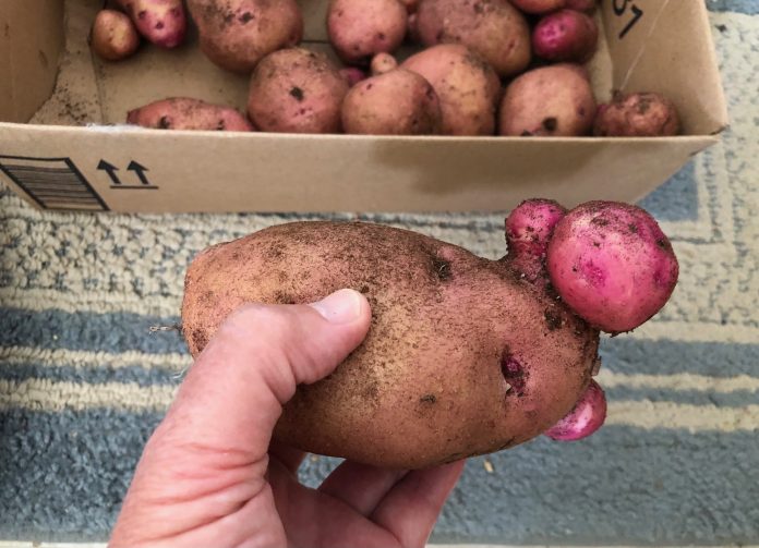 20DE78FD-2A97-47A4-8DF9-2DC382FF4435