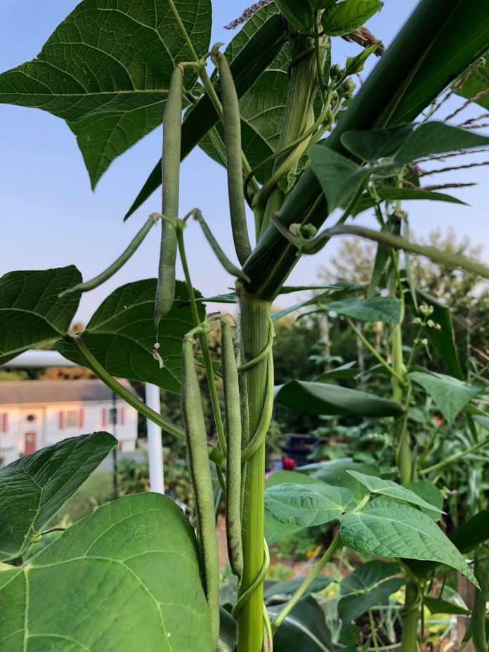 238B5C62-77F5-4919-8D8B-71D736B8FA99