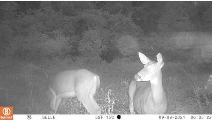 45EF91F8-5D58-4A7B-9140-AE3CCDDCA127