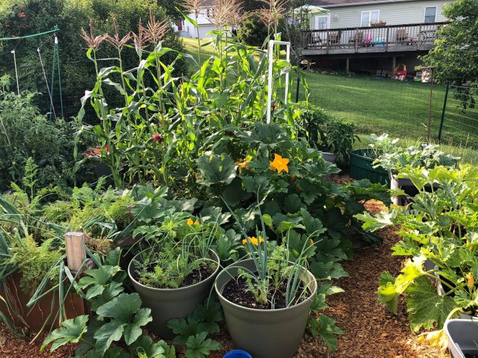 6FAF6176-6263-447D-AB17-519C443146B3