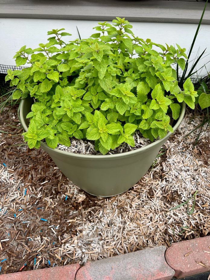 259D6487-6907-4897-861A-3CEEFE192037