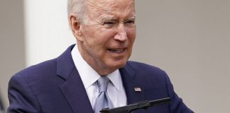 Old Man Yells At Cloud, But Smaller