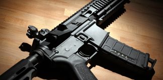 Commonly Owned AR-15