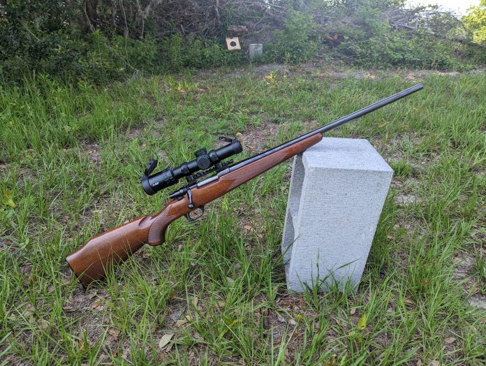 PXL_20230525_204951496