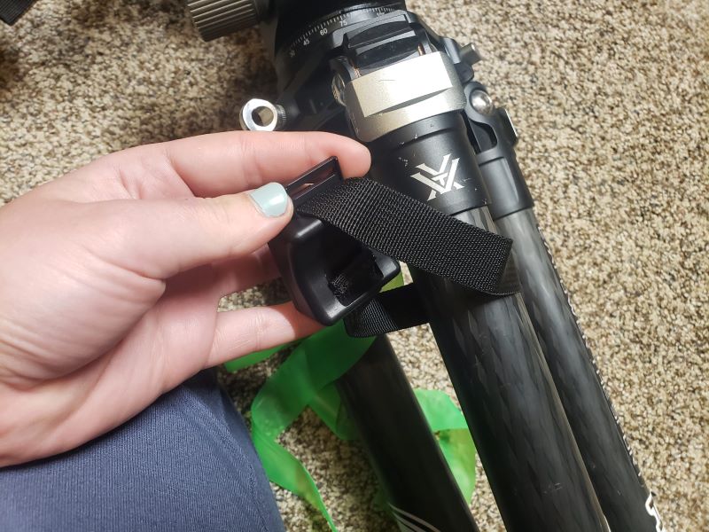 back of the grip on showing the curve