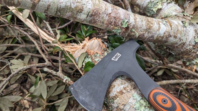 PXL_20230902_171951799