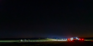 Hunting Sand Hill Crane Dogs Shotguns