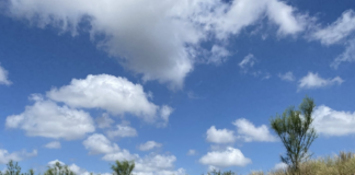 Green Ops Defensive Kalashnikov