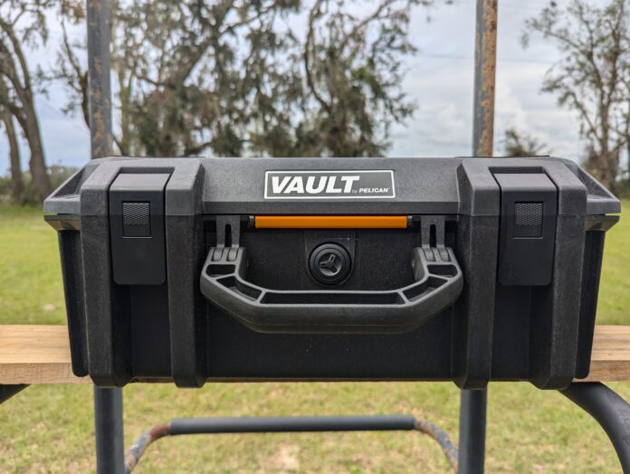 PXL_20241111_185945225