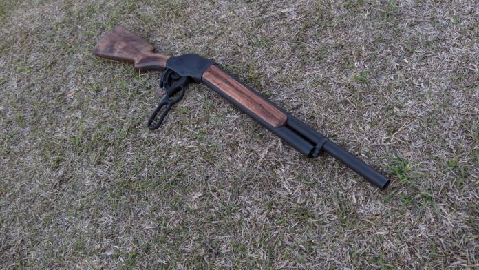 PXL_20250225_233114584