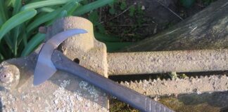 Empress - lead image