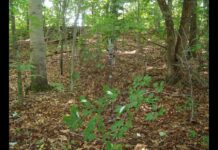 Camo patterned gear makes you disappear into nature’s backdrop