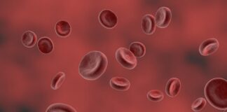 Bloodborne pathogens